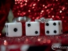 1543_mg_6933