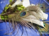 1008_mg_3292