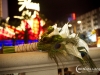 1108_mg_3626
