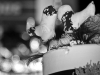 1114_mg_3642